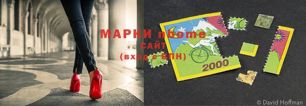 гидра Михайловка