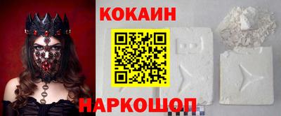 прущие грибы Гатчина