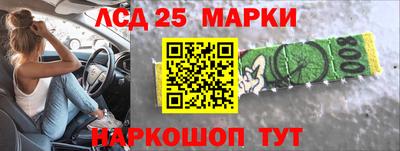 прущие грибы Гатчина