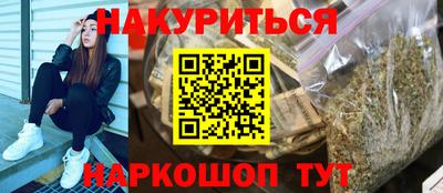 прущие грибы Гатчина