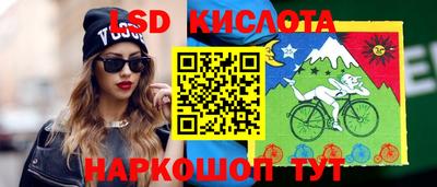 прущие грибы Гатчина