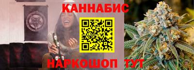 прущие грибы Гатчина