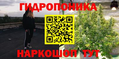 мяу мяу мука Гагарин