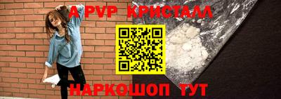 прущие грибы Гатчина