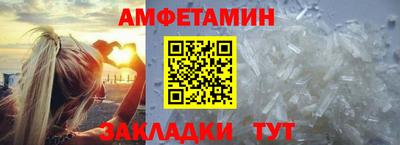 прущие грибы Гатчина