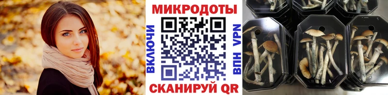 Псилоцибиновые грибы GOLDEN TEACHER  omg ТОР  Каменск-Уральский 