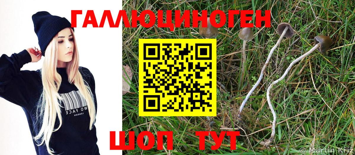 Каменск-Уральский  Галлюциногенные грибы ЛСД  Вход с VPN 